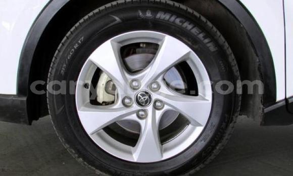 Acheter Occasion Voiture Toyota C-HR Blanc à Windhoek, Namibie Acheter Occasion Voiture Toyota C-HR Blanc à Windhoek, Namibie