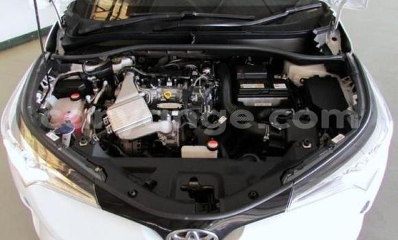 Acheter Occasion Voiture Toyota C-HR Blanc à Windhoek, Namibie Acheter Occasion Voiture Toyota C-HR Blanc à Windhoek, Namibie