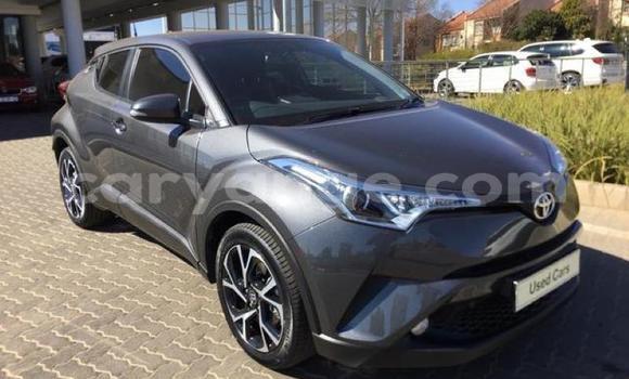 Buy Used Toyota C-HR Black Car in Windhoek in Namibia Buy Used Toyota C-HR Black Car in Windhoek in Namibia