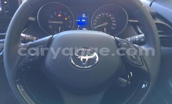 Buy Used Toyota C-HR Black Car in Windhoek in Namibia Buy Used Toyota C-HR Black Car in Windhoek in Namibia
