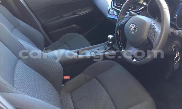 Buy Used Toyota C-HR Black Car in Windhoek in Namibia Buy Used Toyota C-HR Black Car in Windhoek in Namibia