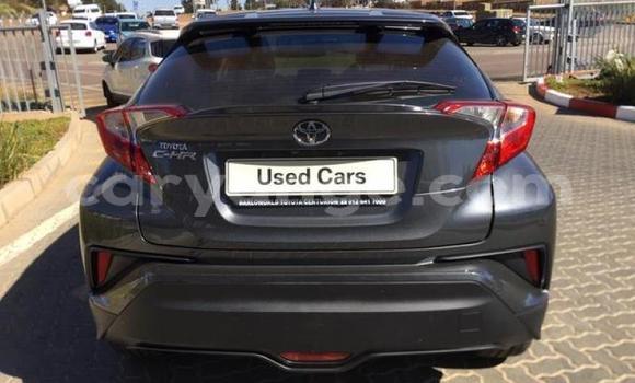 Buy Used Toyota C-HR Black Car in Windhoek in Namibia Buy Used Toyota C-HR Black Car in Windhoek in Namibia