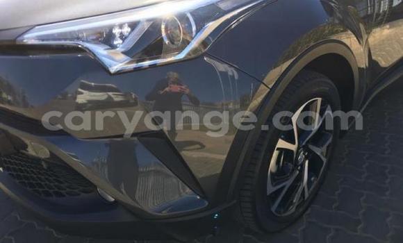 Buy Used Toyota C-HR Black Car in Windhoek in Namibia Buy Used Toyota C-HR Black Car in Windhoek in Namibia