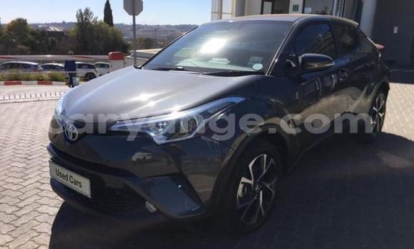 Buy Used Toyota C-HR Black Car in Windhoek in Namibia Buy Used Toyota C-HR Black Car in Windhoek in Namibia
