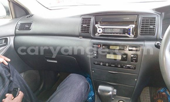 Buy Used Toyota Runx White Car in Windhoek in Namibia Buy Used Toyota Runx White Car in Windhoek in Namibia