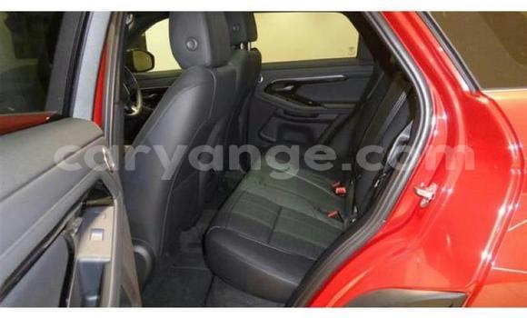 Buy Used Land Rover Range Rover Red Car in Windhoek in Namibia Buy Used Land Rover Range Rover Red Car in Windhoek in Namibia