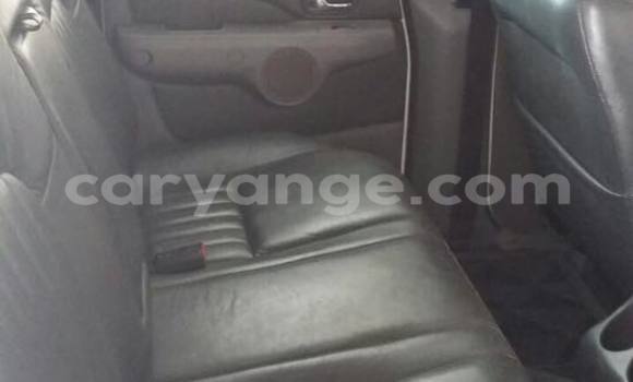 Buy Used Ford Ranger Silver Car in Windhoek in Namibia Buy Used Ford Ranger Silver Car in Windhoek in Namibia