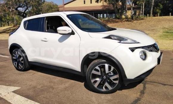 Buy Used Nissan Juke White Car in Karasburg in Karas Buy Used Nissan Juke White Car in Karasburg in Karas