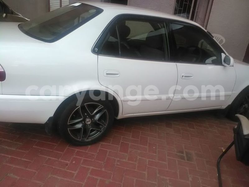 Big with watermark 15285033 1129442643839909 5134408343826197814 n