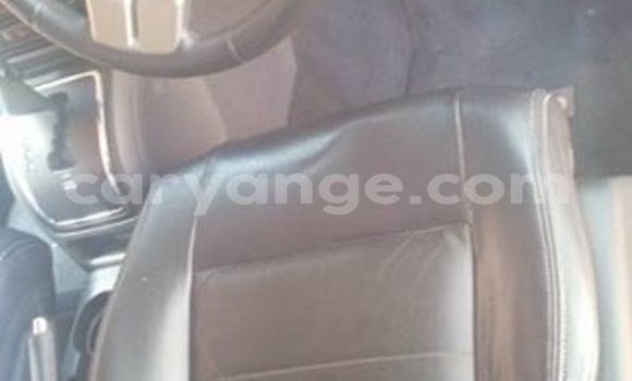 Acheter Occasion Voiture Jeep Patriot Rouge à Windhoek, Namibie Acheter Occasion Voiture Jeep Patriot Rouge à Windhoek, Namibie