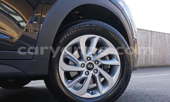 Acheter Occasion Voiture Hyundai Tucson Noir à Bethanien, Karas Acheter Occasion Voiture Hyundai Tucson Noir à Bethanien, Karas