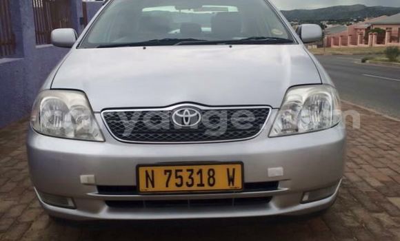 Buy Used Toyota Corolla Silver Car in Windhoek in Namibia Buy Used Toyota Corolla Silver Car in Windhoek in Namibia