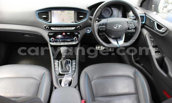 Buy Used Hyundai IONIQ Green Car in Karibib in Erongo Buy Used Hyundai IONIQ Green Car in Karibib in Erongo
