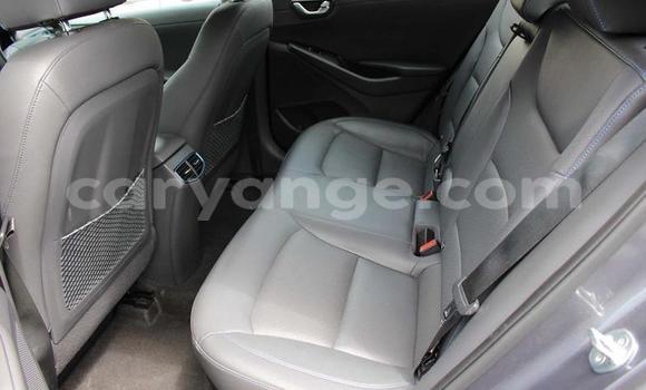 Buy Used Hyundai IONIQ Green Car in Karibib in Erongo Buy Used Hyundai IONIQ Green Car in Karibib in Erongo