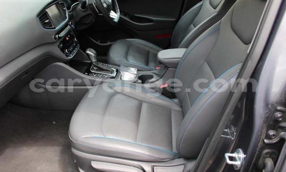 Buy Used Hyundai IONIQ Green Car in Karibib in Erongo Buy Used Hyundai IONIQ Green Car in Karibib in Erongo