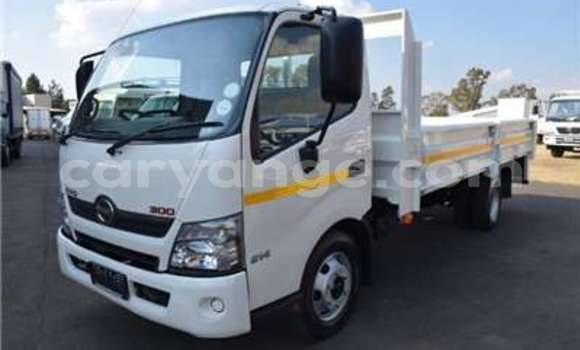 Buy Used Hino 300 Series White Truck in Windhoek in Namibia