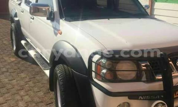 Buy Used Nissan Hardbody White Car in Windhoek in Namibia Buy Used Nissan Hardbody White Car in Windhoek in Namibia