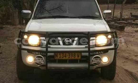 Buy Used Nissan Hardbody White Car in Windhoek in Namibia Buy Used Nissan Hardbody White Car in Windhoek in Namibia