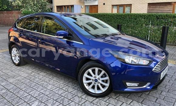 Buy Used Ford Focus Blue Car in Windhoek in Namibia Buy Used Ford Focus Blue Car in Windhoek in Namibia