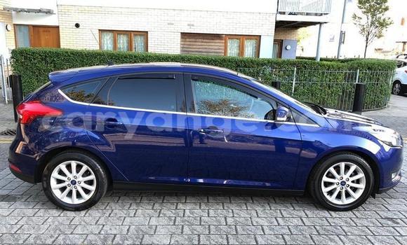 Buy Used Ford Focus Blue Car in Windhoek in Namibia Buy Used Ford Focus Blue Car in Windhoek in Namibia