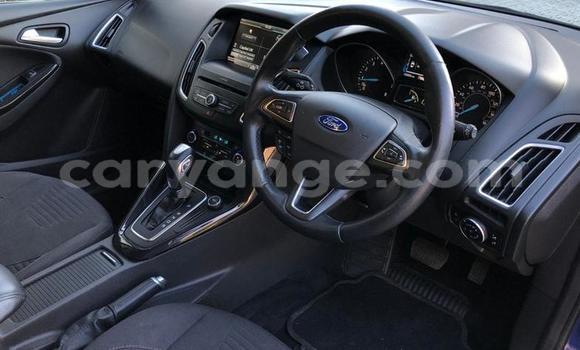 Buy Used Ford Focus Blue Car in Windhoek in Namibia Buy Used Ford Focus Blue Car in Windhoek in Namibia