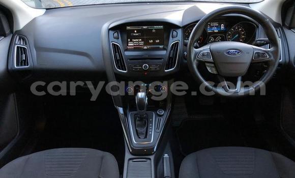 Buy Used Ford Focus Blue Car in Windhoek in Namibia Buy Used Ford Focus Blue Car in Windhoek in Namibia