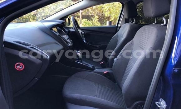 Buy Used Ford Focus Blue Car in Windhoek in Namibia Buy Used Ford Focus Blue Car in Windhoek in Namibia