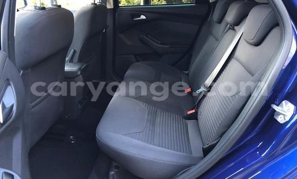 Buy Used Ford Focus Blue Car in Windhoek in Namibia Buy Used Ford Focus Blue Car in Windhoek in Namibia