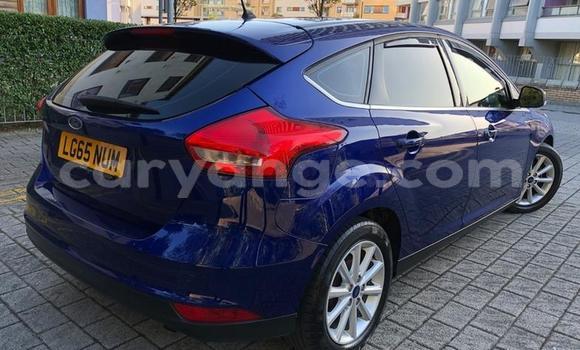Buy Used Ford Focus Blue Car in Windhoek in Namibia Buy Used Ford Focus Blue Car in Windhoek in Namibia