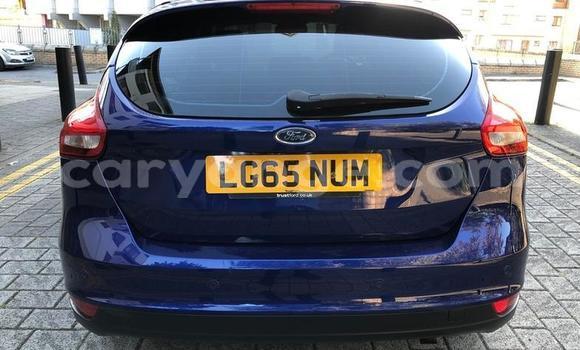 Buy Used Ford Focus Blue Car in Windhoek in Namibia Buy Used Ford Focus Blue Car in Windhoek in Namibia
