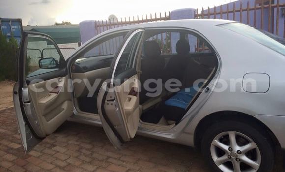 Buy Used Toyota Corolla Silver Car in Windhoek in Namibia Buy Used Toyota Corolla Silver Car in Windhoek in Namibia