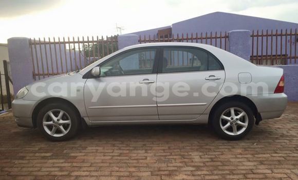 Buy Used Toyota Corolla Silver Car in Windhoek in Namibia Buy Used Toyota Corolla Silver Car in Windhoek in Namibia