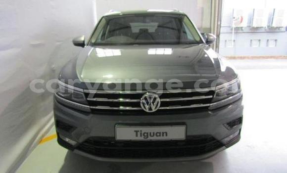 Buy Used Volkswagen Tiguan Silver Car in Karasburg in Karas Buy Used Volkswagen Tiguan Silver Car in Karasburg in Karas