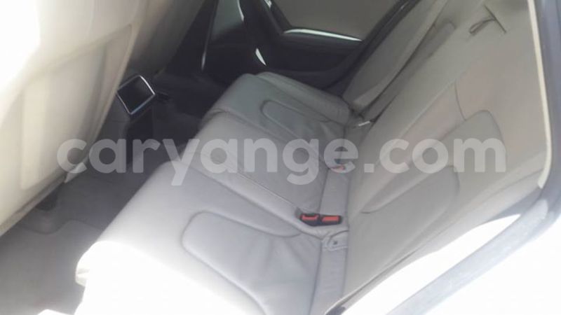 Big with watermark 15578737 1281570078576389 5086098407229006862 n