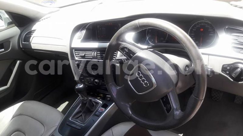 Big with watermark 15590123 1873629849587474 5620022596992670559 n