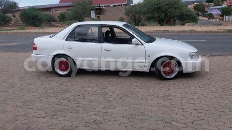 Big with watermark 15285033 1129442643839909 5134408343826197814 n