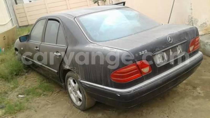 Big with watermark 15284065 1129442633839910 5230908860684797680 n