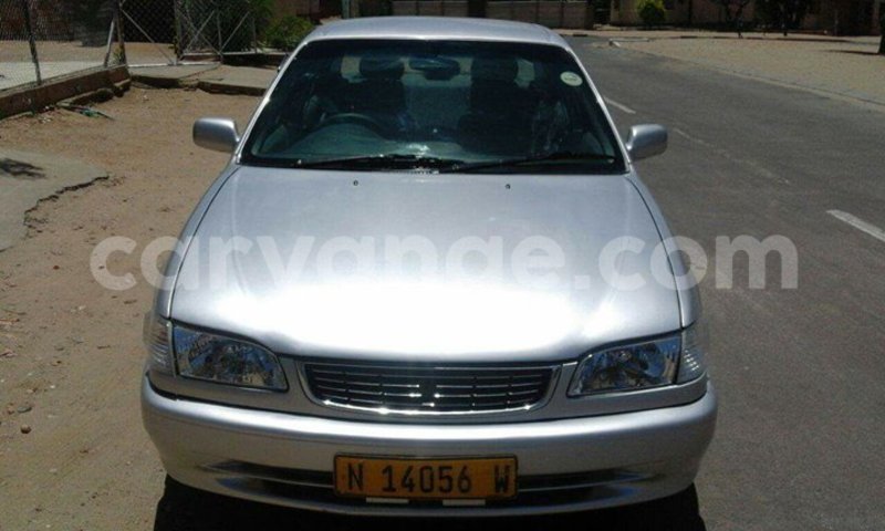 Big with watermark 15284065 1129442633839910 5230908860684797680 n