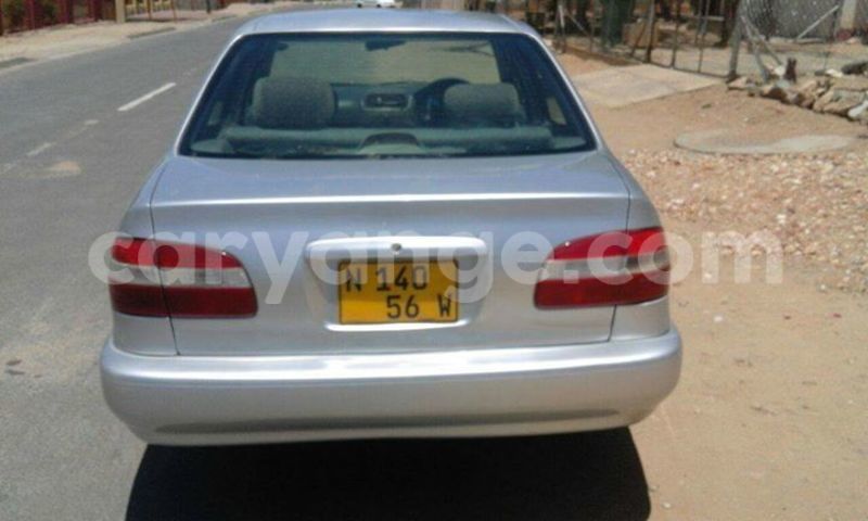 Big with watermark 15285033 1129442643839909 5134408343826197814 n