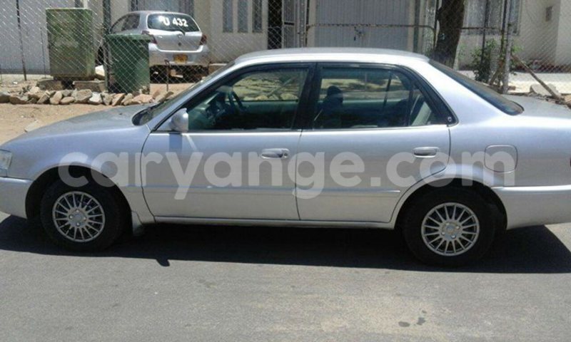 Big with watermark 15578737 1281570078576389 5086098407229006862 n