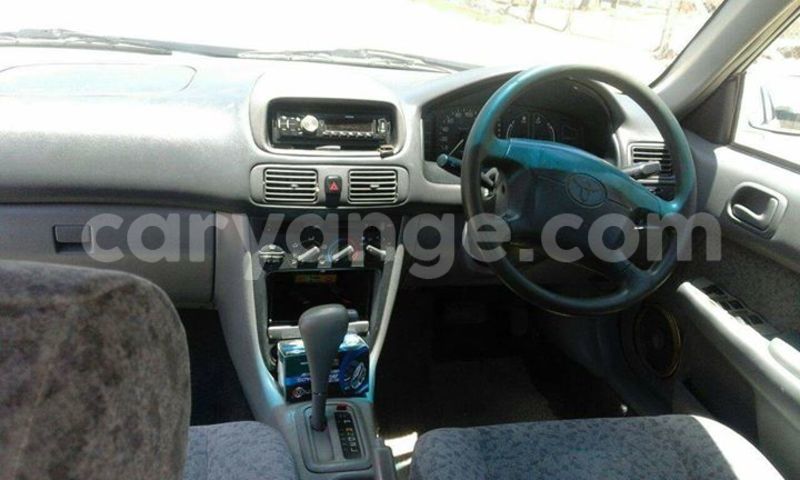 Big with watermark 15590123 1873629849587474 5620022596992670559 n