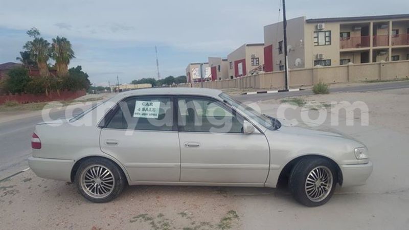 Big with watermark 15284065 1129442633839910 5230908860684797680 n