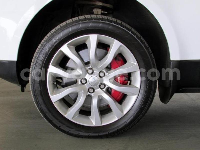 Big with watermark crop800x600 19 