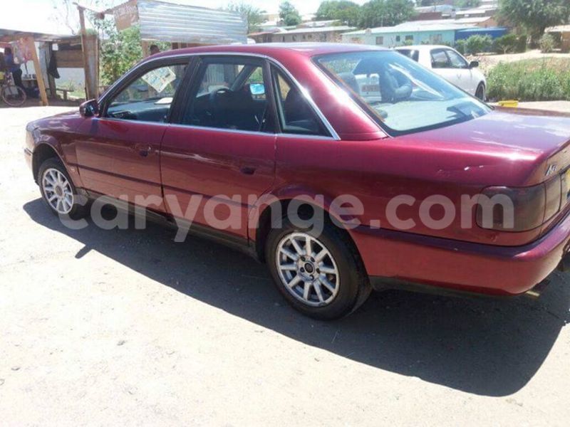 Big with watermark 15284065 1129442633839910 5230908860684797680 n