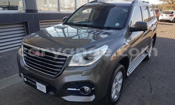 Buy Used Haval H9 Other Car in Karasburg in Karas Buy Used Haval H9 Other Car in Karasburg in Karas