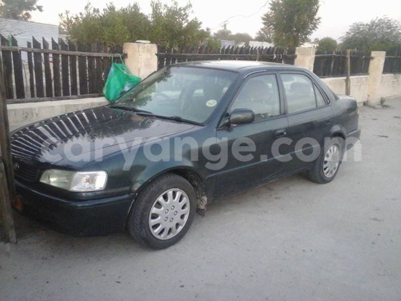 Big with watermark 15284065 1129442633839910 5230908860684797680 n