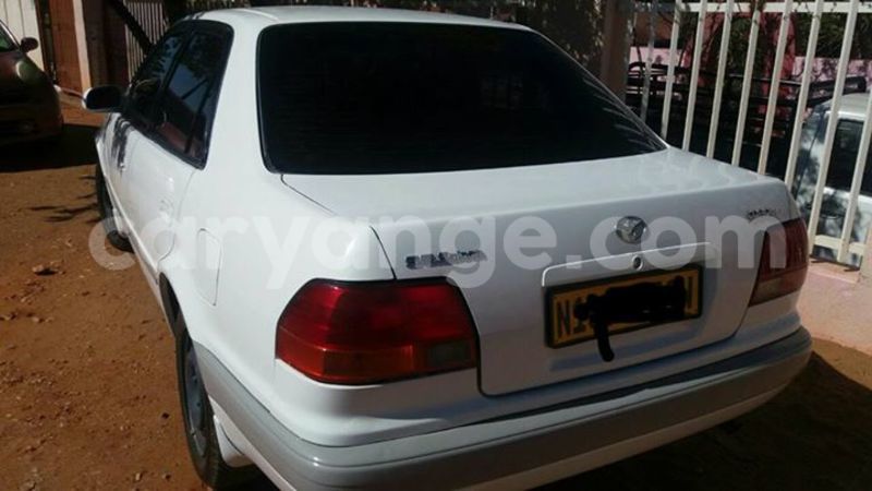 Big with watermark 15284065 1129442633839910 5230908860684797680 n