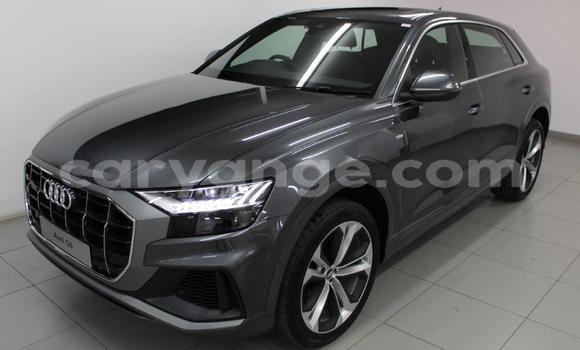 Buy Used Audi Q8 Other Car in Karasburg in Karas Buy Used Audi Q8 Other Car in Karasburg in Karas