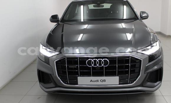 Buy Used Audi Q8 Other Car in Karasburg in Karas Buy Used Audi Q8 Other Car in Karasburg in Karas