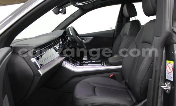 Buy Used Audi Q8 Other Car in Karasburg in Karas Buy Used Audi Q8 Other Car in Karasburg in Karas